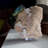Giello Landscape & Nature Crystal