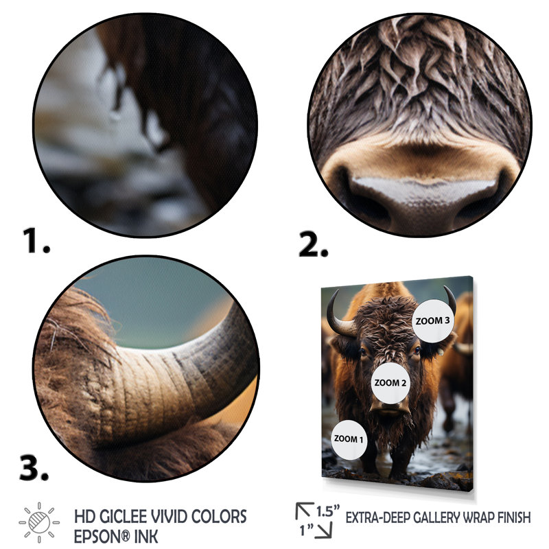 Buffalo National Photo - animaux, impressions sur toile, H 44 po x l 34 po x P 1,5 po, Cadre flottant blanc