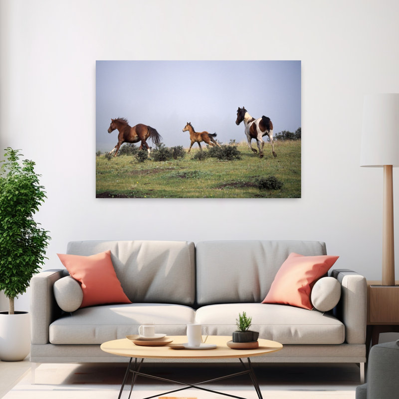 Horses And Colt Running In Meadow by Green Earth Collection - Wrapped Canvas Print, 101.6 cm H x 152.4 cm W