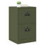 Storage Cabinet-131504599