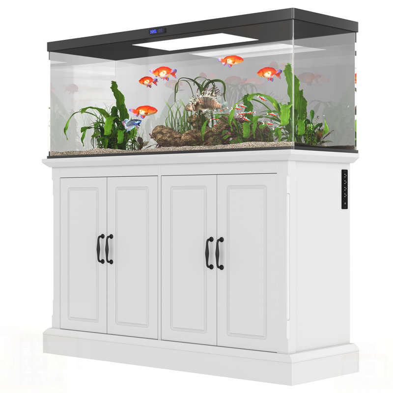 Support durable pour aquarium avec prise de courant et 4 armoires, idéal pour les réservoirs de reptiles et de tortues, robuste et élégant