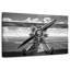Avion Mehar Vintage Chrome-107698873