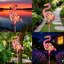 Statue de jardin Flamingo avec lumière solaire | Piquet de jardin Animal