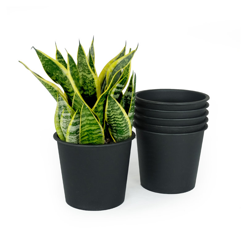 5 Inch Round Nursery Plant Pots with Drainage - 5 Pack Black Plastic Garden Pots for Indoor Outdoor Seedlings, Weather Resistant Flower Planters