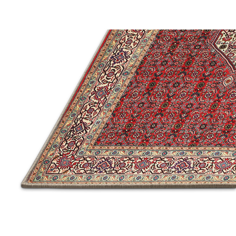 Tapis traditionnel rouge / brun Burwinda, Rectangle 5 pi x 7 pi