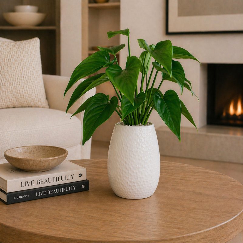 Fieldscairn Ceramic / Porcelain Table Vase, 10" H x 7" W x 7" D
