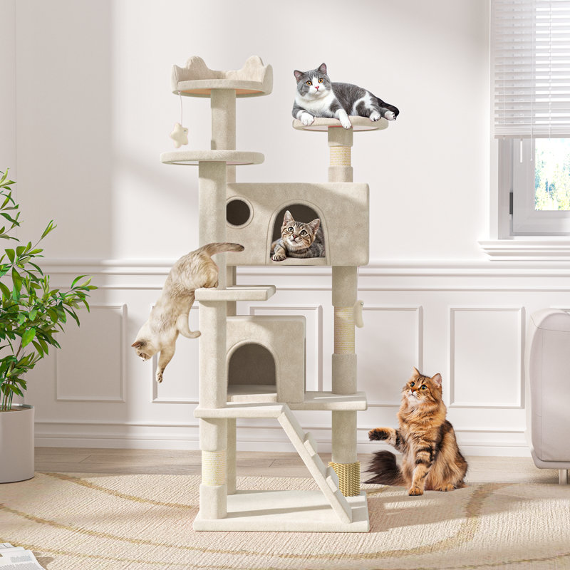Habitation pour chat à plusieurs niveaux avec poteaux à griffes 54,5 po Drina, idéale pour les chatons et les petits chats