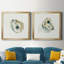 «Old Salt Shell I», ensemble de 2 reproductions d'art encadrées-2118285762-2126001041-2048829126