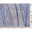 Tapis d'extérieur Kona couleur granit-683360154
