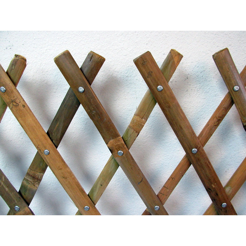 Treillage d'expansion en bois, Brun clair, H 48 po x l 72 po x P 1 po