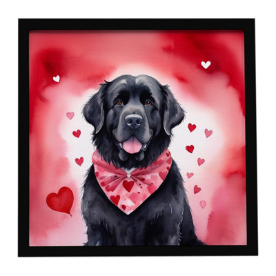 Newfoundland My Valentine Framed Metal Print