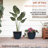 Shiye Pot Planter-66653520