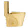 Dual-Flush Elongated One-Piece Toilet with High Efficiency Flush