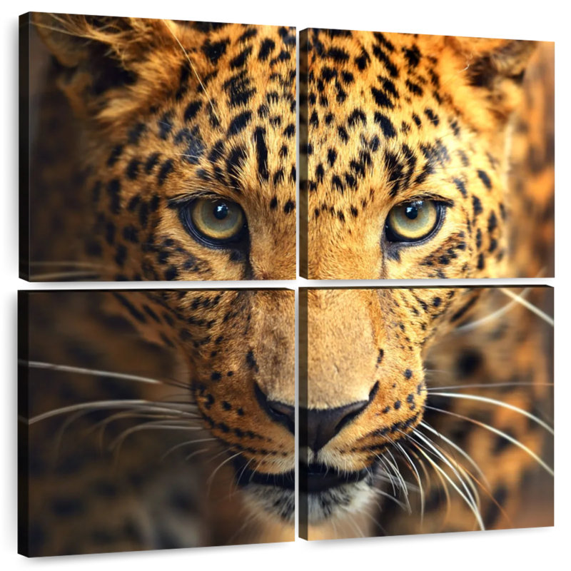 Brampt Leopard Portrait