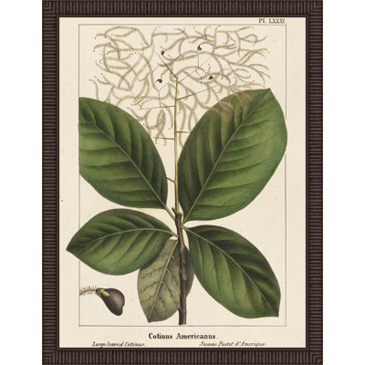 « large leaf continuums », reproduction d’art encadrée