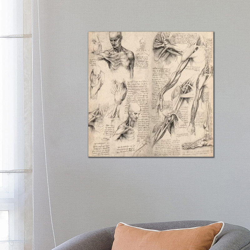 Sketchbook Studies Of Human Body Collage by Leonardo Da Vinci - Wrapped Canvas Print, 66.04 cm H x 66.04 cm W x 1.91 cm D