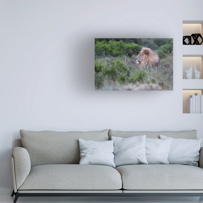 Art sur toile, "Bob Bob Langrish"