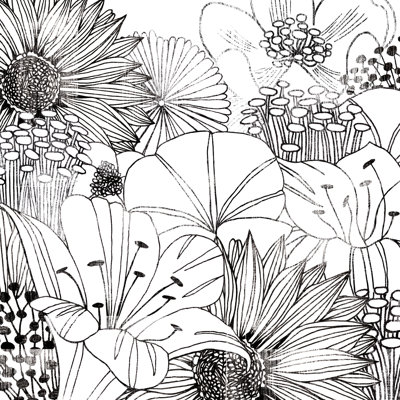 Jardin contemporain I noir et blanc