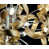 Gold Leaf