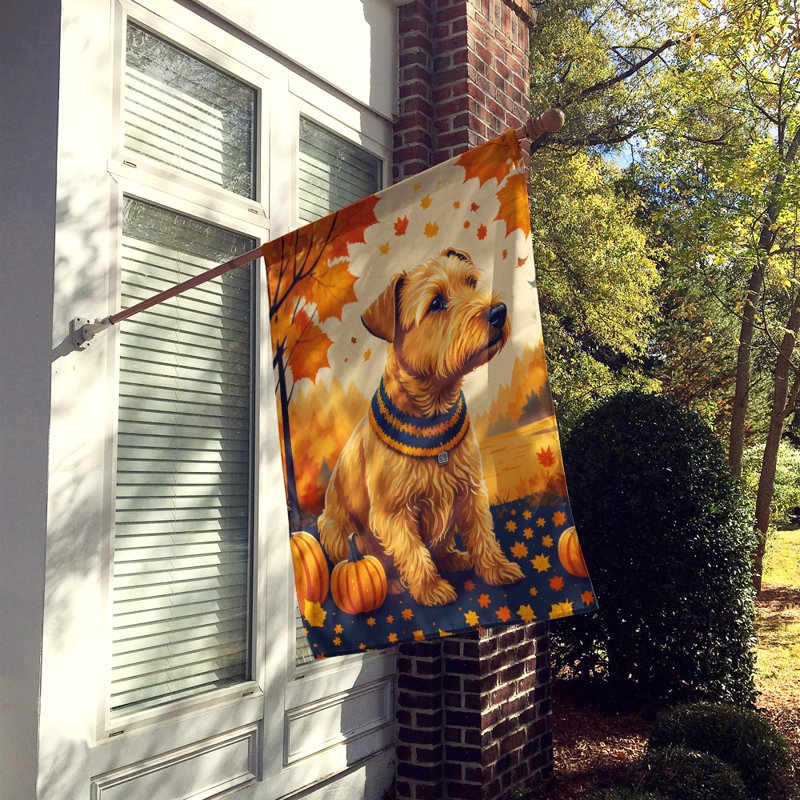 Double Sided 40'' H x 28'' W Polyester House Flag