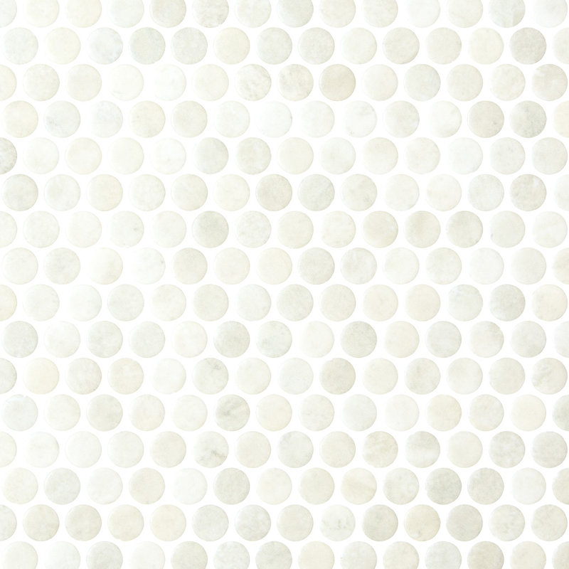 Spectre de roche 3/4 pouce Penny Silice blanc, Silice blanche