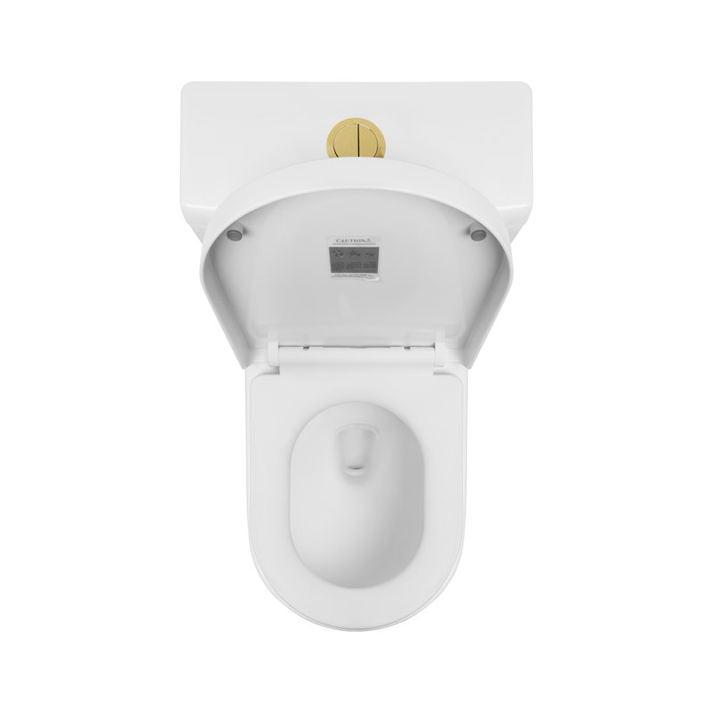 28.94" H Golden Flush Button 1.1/1.6 GPF Comfort Height Classic  Water-Saving Super Quite Flushing Floor Mounted One-Piece Toilet, Soft Close