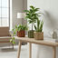 Pot rond Strata MD - Beige brun-1443840980-1443840984