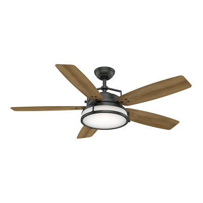 56" Caneel Bay 5 - Blade Standard Ceiling Fan with Wall Control and Light Kit Included