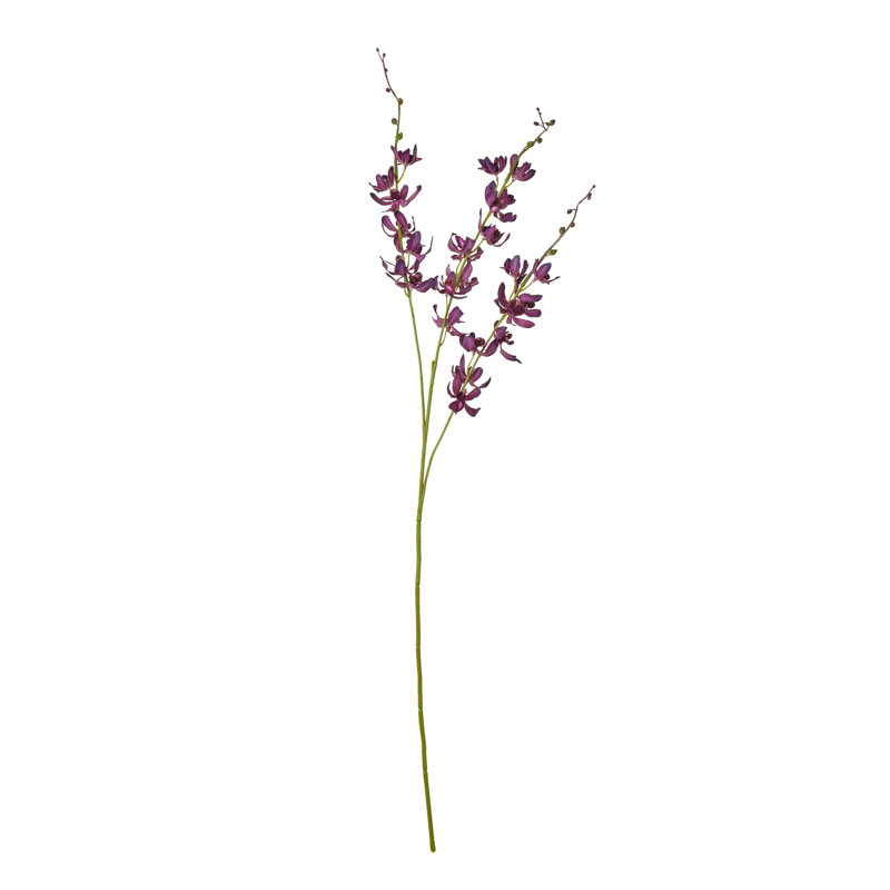 Anastasija Arrangement, Purple