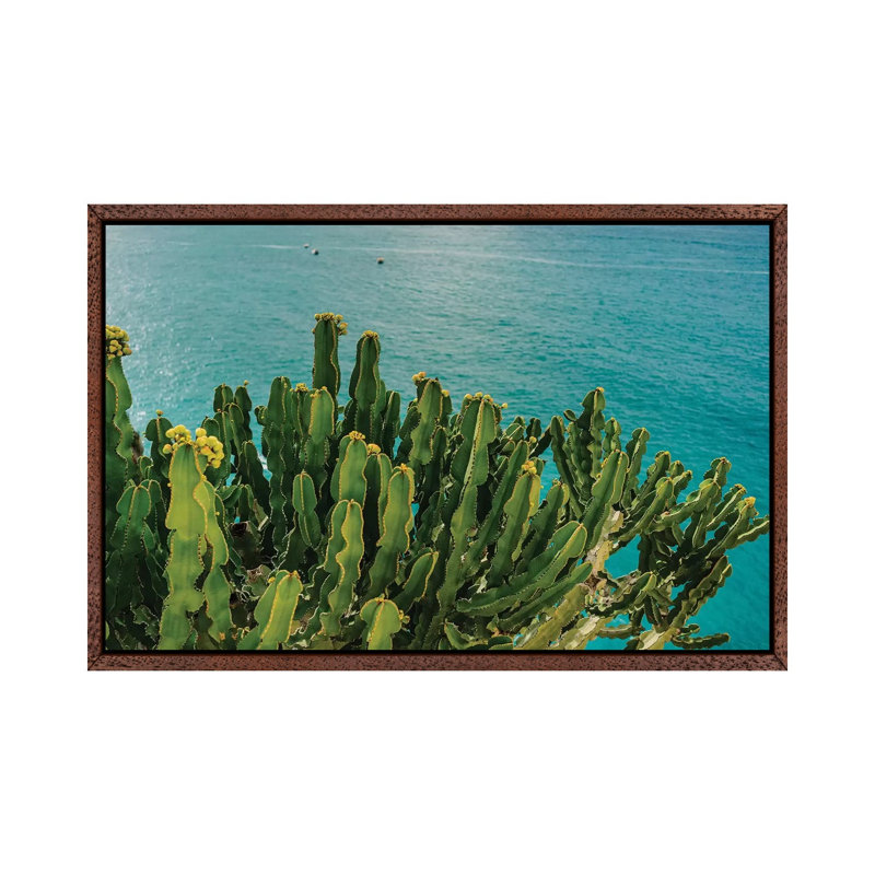 Amalfi Coast Cactus I by Bethany Young - Print on Canvas, 101.6cm H x 152.4cm W x 3.81cm D, Classic Brown Wood Framed
