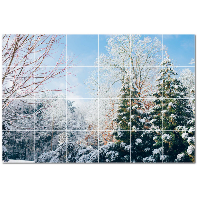 Photo d'hiver 12 x 12
