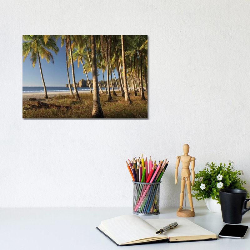 Palms At Playa Carrillo, Guanacaste, Costa Rica by Tim Fitzharris - Wrapped Canvas Print, 20.32 cm H x 30.48 cm W