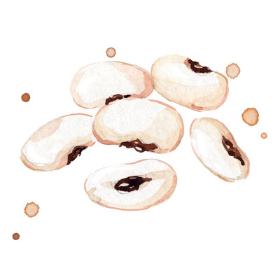 White Beans - Wrapped Canvas Print