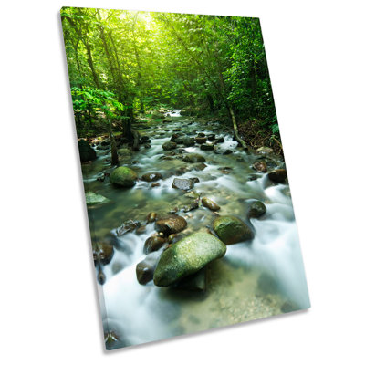 X0205 Tropical Mountain Stream Landscape - Wrapped Canvas Print