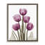 Tulipes roses à rayons X-580676543-572349305