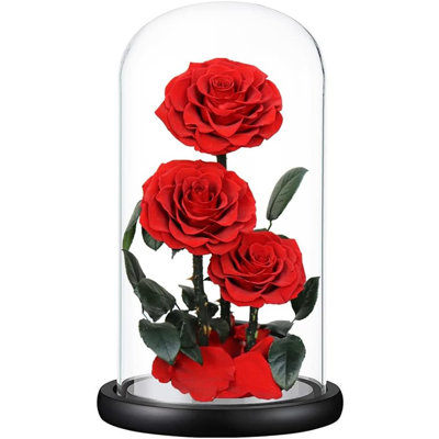 Rose préservée à la main dans un dôme de verre, roses rouges, cadeaux d'anniversaire pour femmes