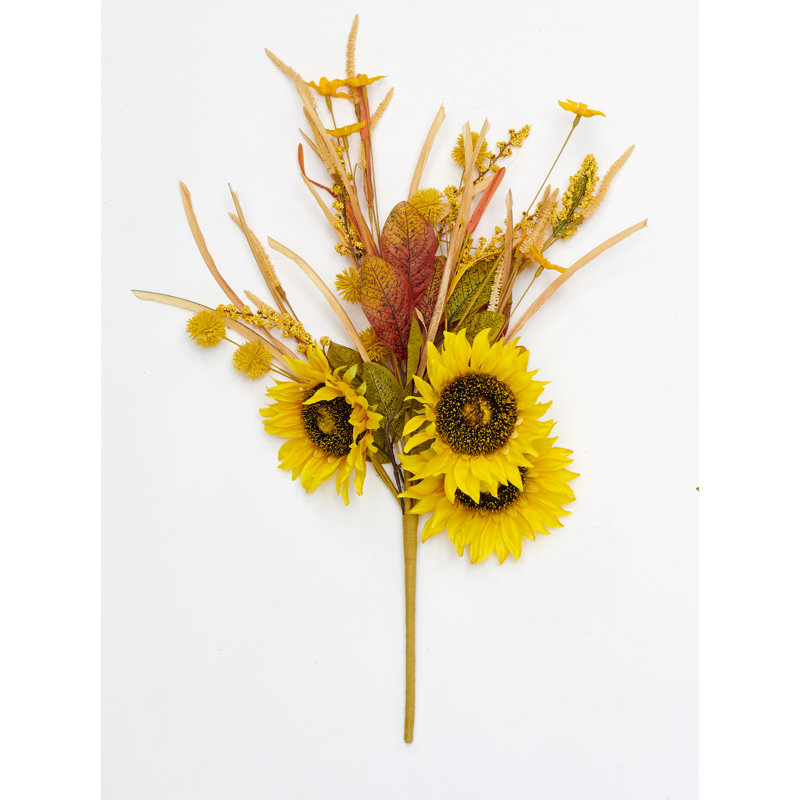 Tournesol
