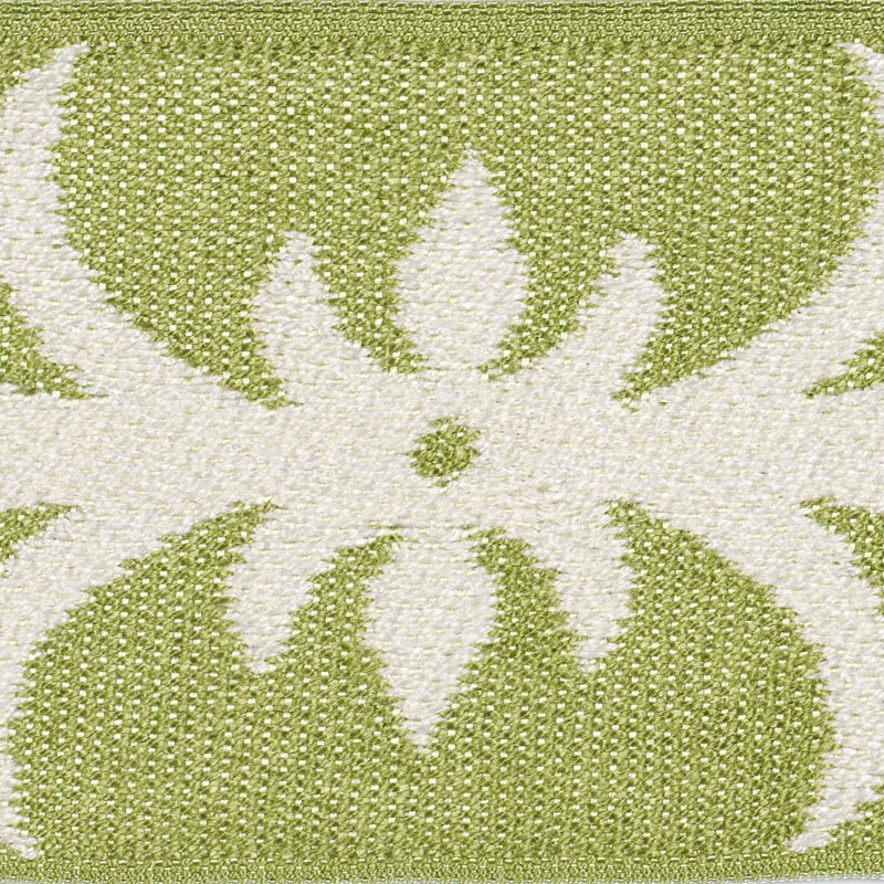 Ruban d'acanthe Schumacher x Celerie Kemble, Romaine