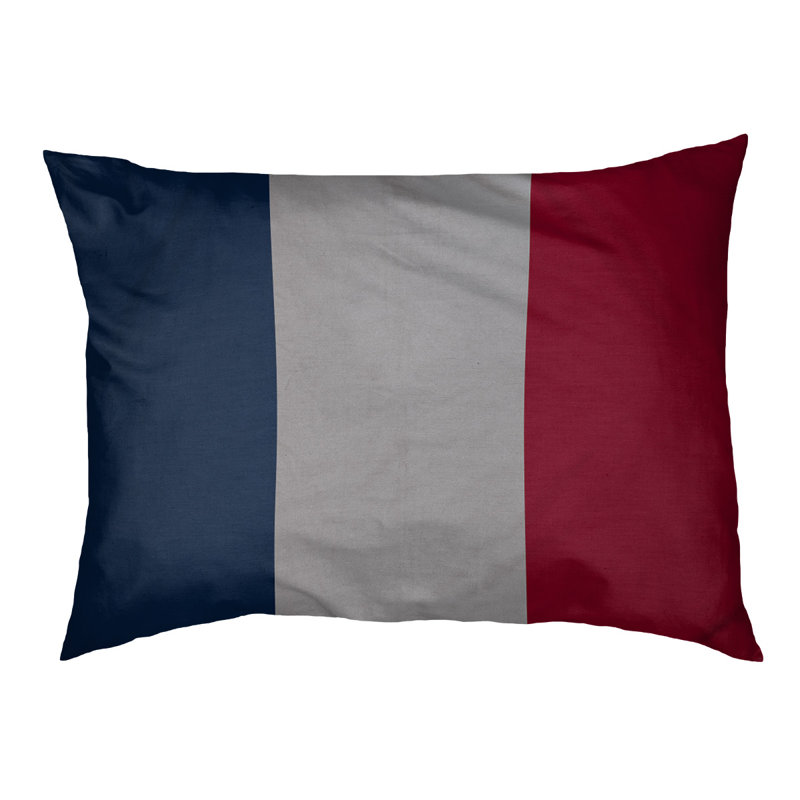 Coussin pour chien hockey Las Vegas, Petit (l 28 po x P 18 po x H 9,5 po), Bleu nuit polaire / argent / rouge