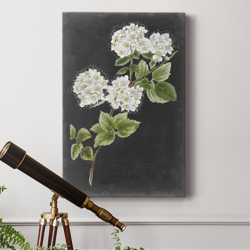 " Dramatic White Flowers II ", 60" H x 40" W x 1" D