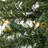 Oatman Natural Alpine Artificial Christmas Tree-316897341-304974402