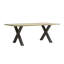 Babita Metal Base Dining Table