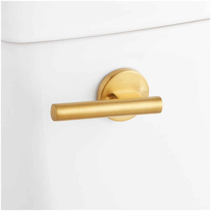 Brinstead One-Piece Elongated Skirted Toilet - Brushed Gold Handle, Brushed Gold