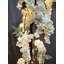 Arche de mariage 90,55 "Wisteria