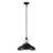 Palmetto 1 - Light Dome Pendant-88775015-89302404
