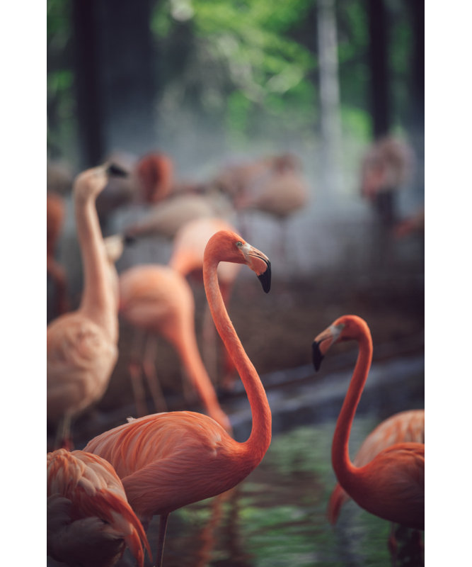 Wrapped Canvas Print, 81.28cm H x 121.92cm W