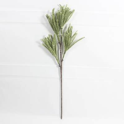 Filtre vase pour plante tropicale douilles Jem