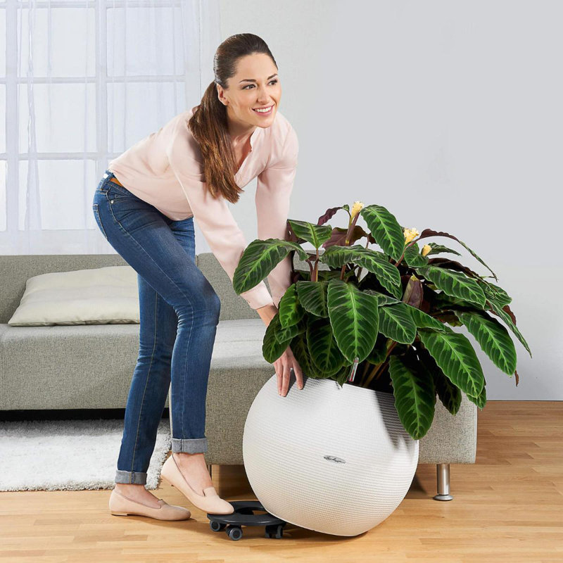 Black Plastic Coaster for CLASSICO 43 | QUADRO 43 | PURO 50 LECHUZA Planters | D28 H5.8 cm