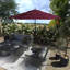 Parasol de marché 132 po Everlyse-88354876