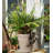 Gerow Three Toed Sloth Pot Hanger Ornament